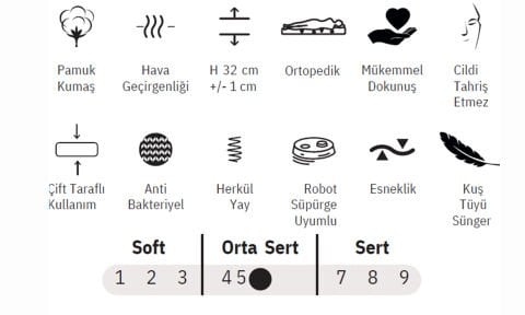 Line 90*200 cm Tek Kişilik Başlıklı Baza Seti