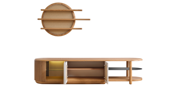 Begonvil TV Ünitesi