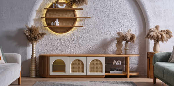 Begonvil TV Ünitesi