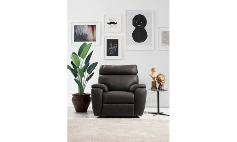 Maxımo Modern Tekli Koltuk