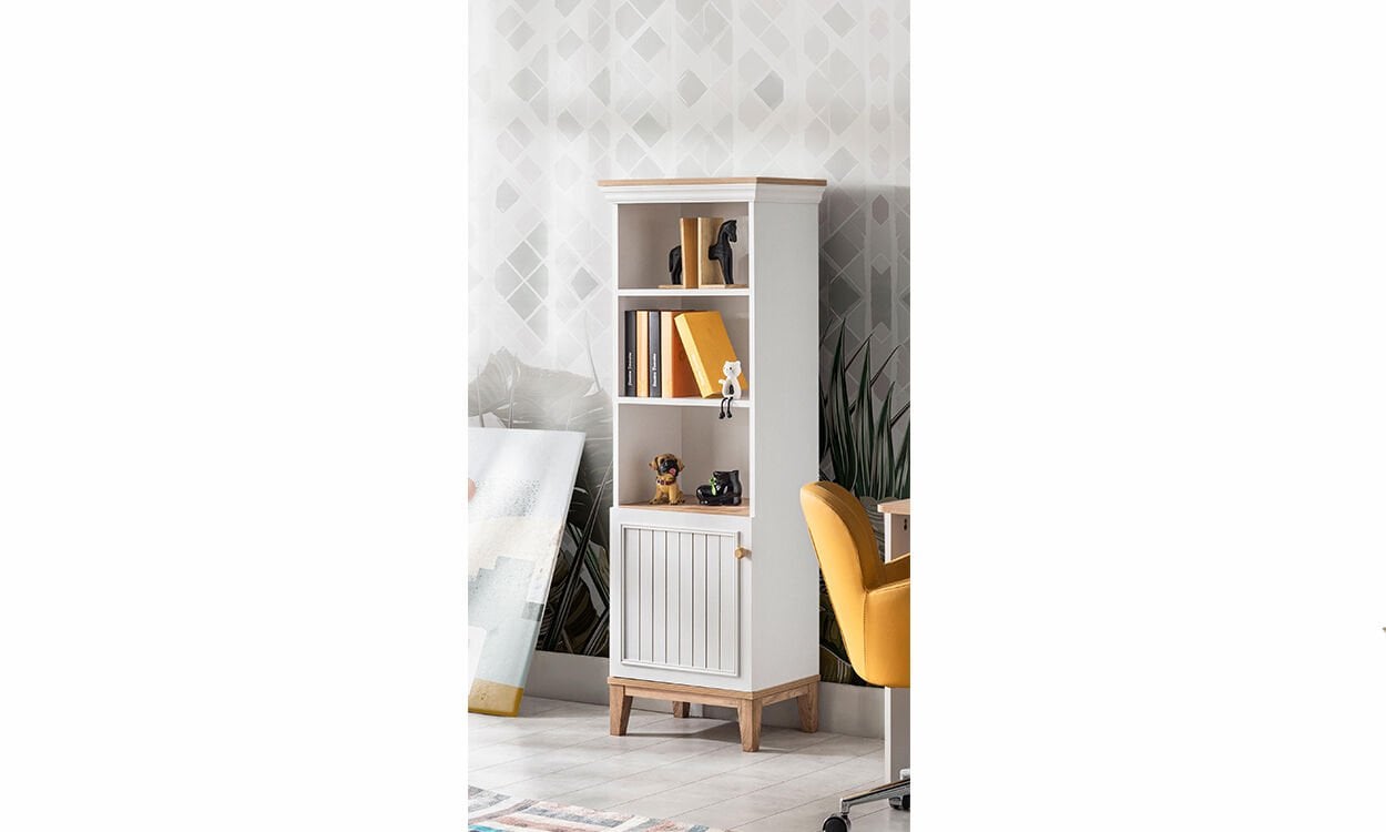 Tarz Genç Odası Kitaplık