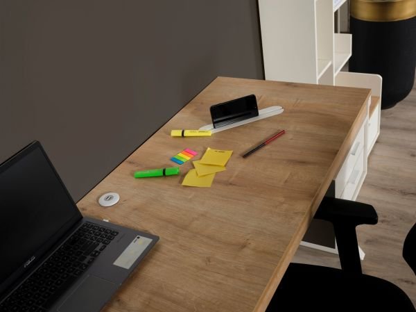 Halikarnas Genç Odası (Çalışma Masası)